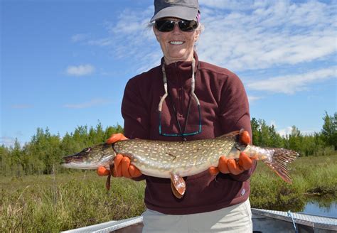 Lake Fishing Alaska! Fly Fishing Alaska! Mat-su Valley | ACC