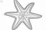 Starfish Coloring Pages sketch template