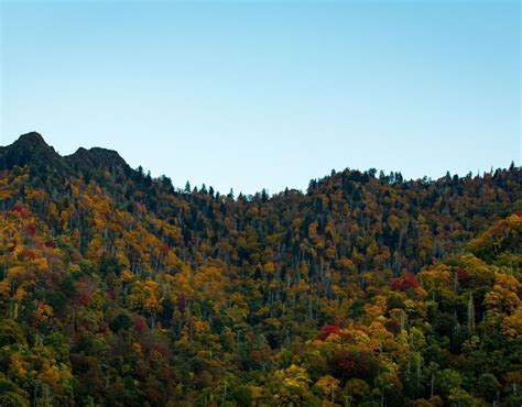 What's the Weather Like in Asheville, NC?