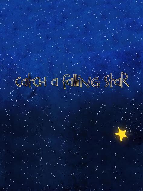 Catch a Falling Star (Video 2010) - IMDb