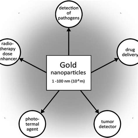 Common medical applications of gold nanoparticles. | Download Scientific Diagram