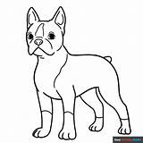 Boston Terrier Coloring Page  Easy Drawing Guides sketch template