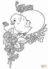 Free Printable Easter Chick Coloring Pages sketch template