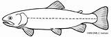 Coloring Pages  Great Lakes Aquarium sketch template