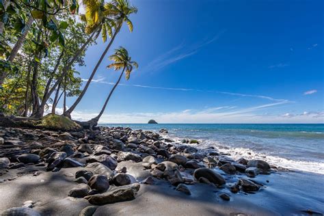 Partir en Martinique : quelle est la meilleure période