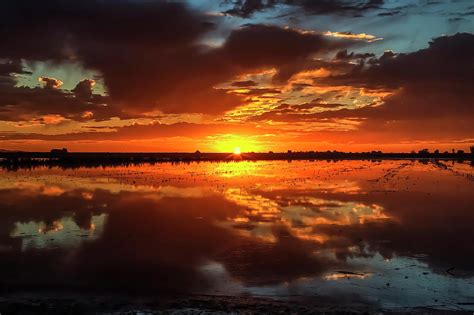 Sacramento Delta Sunset Photograph by Soroush Mostafanejad