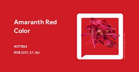 Amaranth Red color hex code is #CF1B24