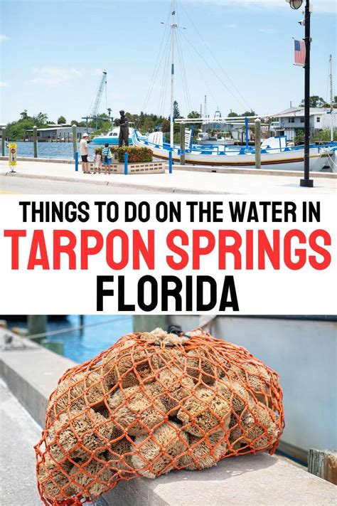 Are There Beaches in Tarpon Springs, Florida?