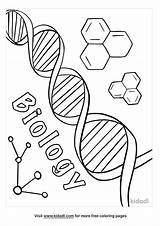Biology Coloring Page sketch template