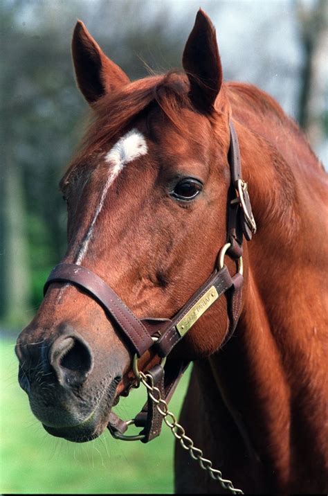 Penny Chenery, owner of Triple Crown champ Secretariat, dies in Boulder ...