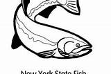 Apache Trout Chasing Fisherman Bair Coloring Pages  Best Place To Color sketch template