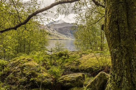 Scottish Landscape beside Lake Stock Photo - Image of shore, travel: 63571224