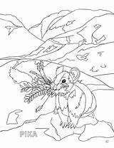 Coloring & Activity Book  Rocky Mountain National Park – sketch template