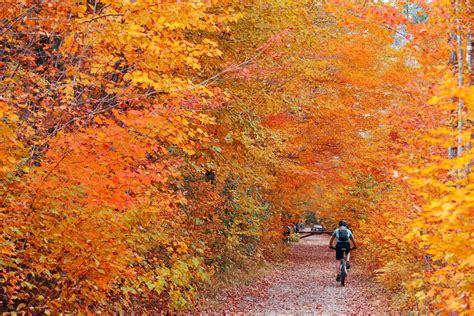 10 Best Places to See Fall Foliage in Vermont – Bearfoot Theory