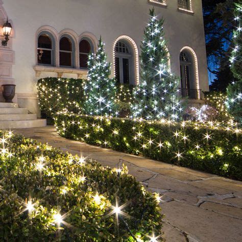 20+ Christmas Lights For Bushes ideas | christmas lights, outdoor ...