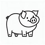 Cute Smiling Pig coloring Page  Download Print Or Color Online For Free sketch template