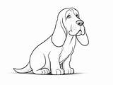 Basset Hound Coloring Printable  Page sketch template