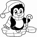 Christmas Penguin Coloring Pages  Free Download On ClipArtMag sketch template