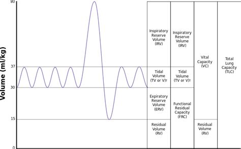 Pulmonary Function Testing (PFT) made simple | Iowa Head and Neck Protocols