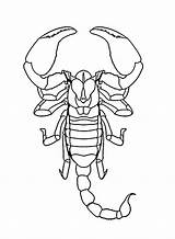 Scorpions Coloring Pages  Free Printable PDF & Online sketch template