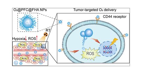 Fluorinated Hyaluronic Acid Encapsulated Perfluorocarbon Nanoparticles as Tumor-Targeted Oxygen ...