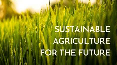 WEBINAR : TRANSITION TOWARDS SUSTAINABLE AGRICULTURE IN EUROPE : THE ...