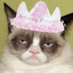 Grumpy cat birthday Meme Generator - Imgflip