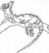 Printable Iguana Coloring Pages For Kids sketch template
