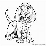 Basset Hound Coloring Pages  Free & Printable sketch template