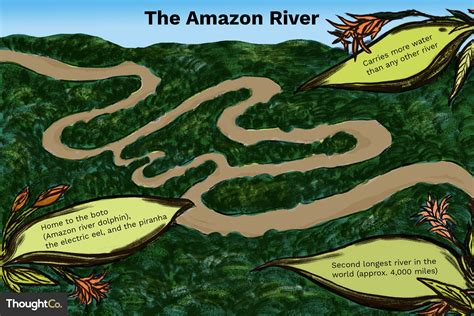 Geography Facts About the Amazon River