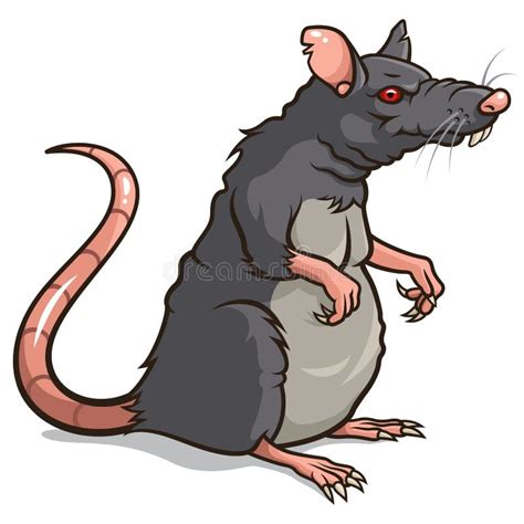 Rato mau ilustração do vetor. Ilustração de vetor, sujo - 47762520