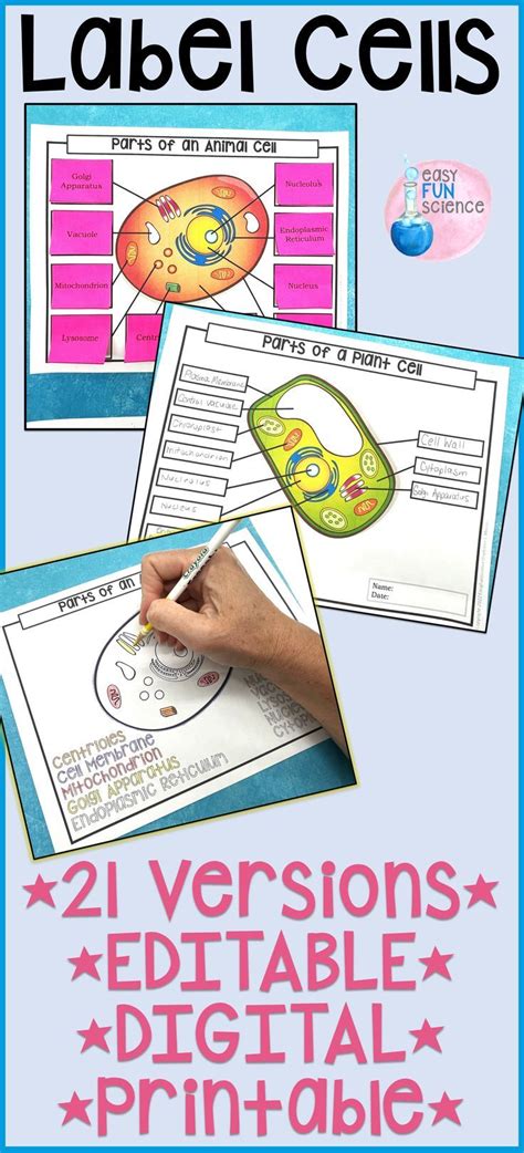 Plant and Animal Cells Labeling and Coloring Diagrams with Organelles ...