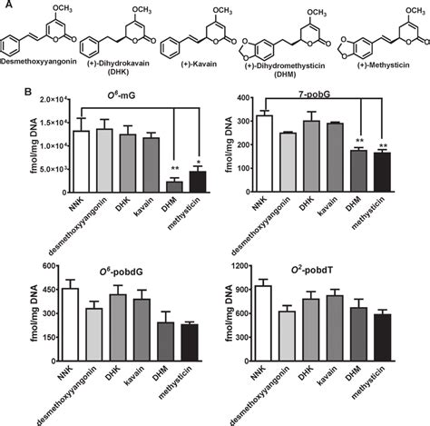 Characterization of natural kavalactones on NNK-induced DNA damage in ...