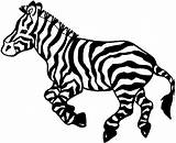 Free Zebra Coloring Pages sketch template
