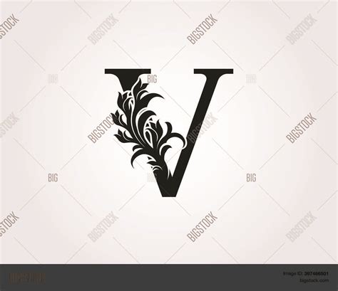 Monogram Letter V Vector & Photo (Free Trial) | Bigstock