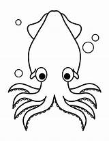 Colossal Squid Coloring Coloring Pages sketch template