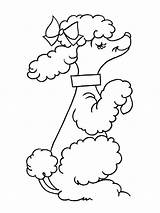 Cute Poodle coloring Page sketch template