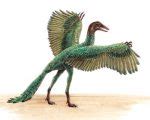 Archaeopteryx Facts, Habitat, Pictures and Diet