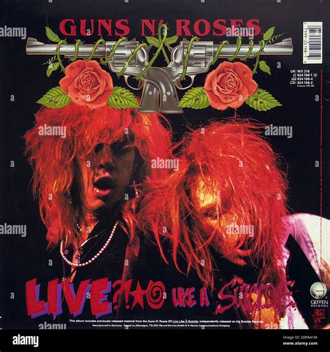 Guns n' Roses G N'R Lies - Vintage Vinyl Record Cover01 Stock Photo - Alamy