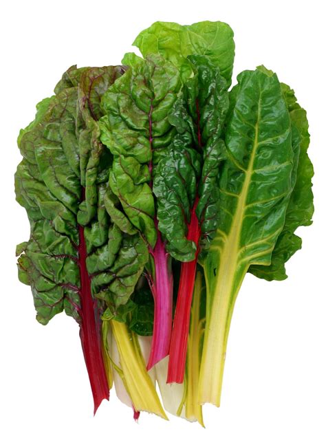 Everything You Need To Know About Swiss Chard | Swiss chard, Chard ...