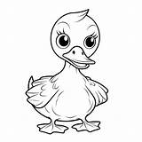 Mewarnai Patinho Pato Bebek Anak Canard Paud Animaux Coloriage Tk 1451  sketch template