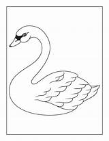 20 Printable Swan Coloring Pages For Children And Adults  Etsy sketch template