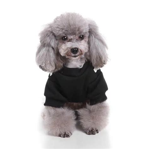 dog costumes target H009# - Dog Designer Shop