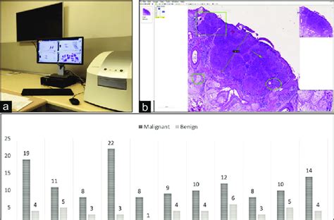 (a) Whole slide scanner in our laboratory (Leica Aperio LV1). The... | Download Scientific Diagram