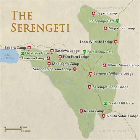 Serengeti Wildlife Migration | Paramount Safaris