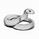 Premium AI Image  Texas Garter Snake Adorable Art Cute Flat coloring sketch template
