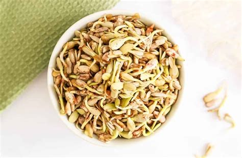 How To Eat Sunflower Seeds - Recipes.net