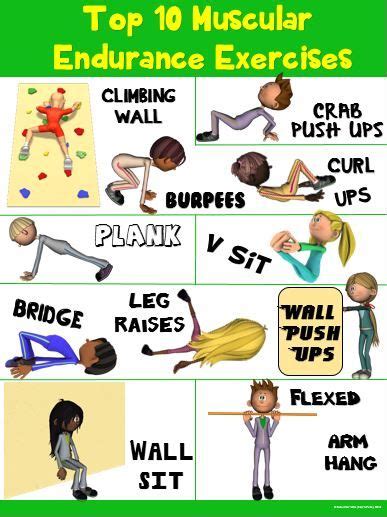 PE Poster: Top 10 Muscular Endurance Exercises | Muscular endurance, Exercises and Physical ...