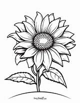 Printable Sunflower Coloring Pages – 25 Sheets  Easy Peasy And Fun sketch template