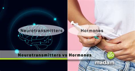 Difference Between Neurotransmitters and Hormones - biomadam